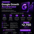 Google Growth Accelerator - full package